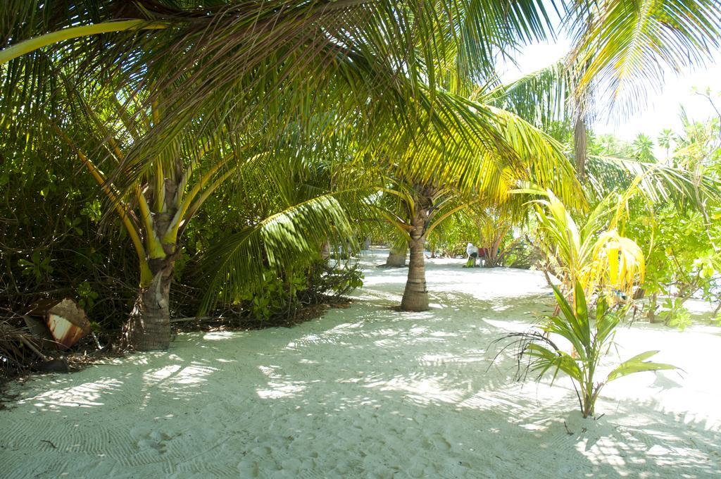 Hotel Palm Garden à Thoddoo Extérieur photo